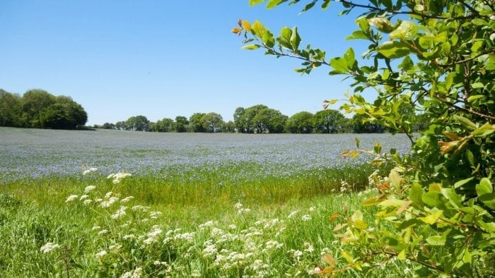 Considering the environment, Broadhembury, Fields