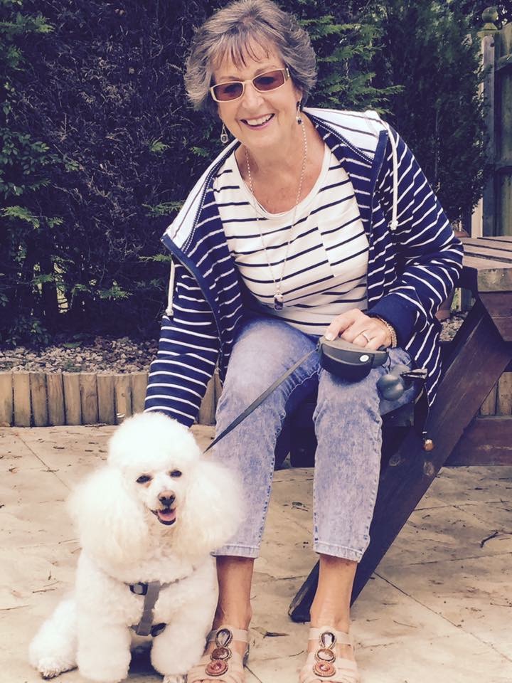 Dog-friendly Holiday Park