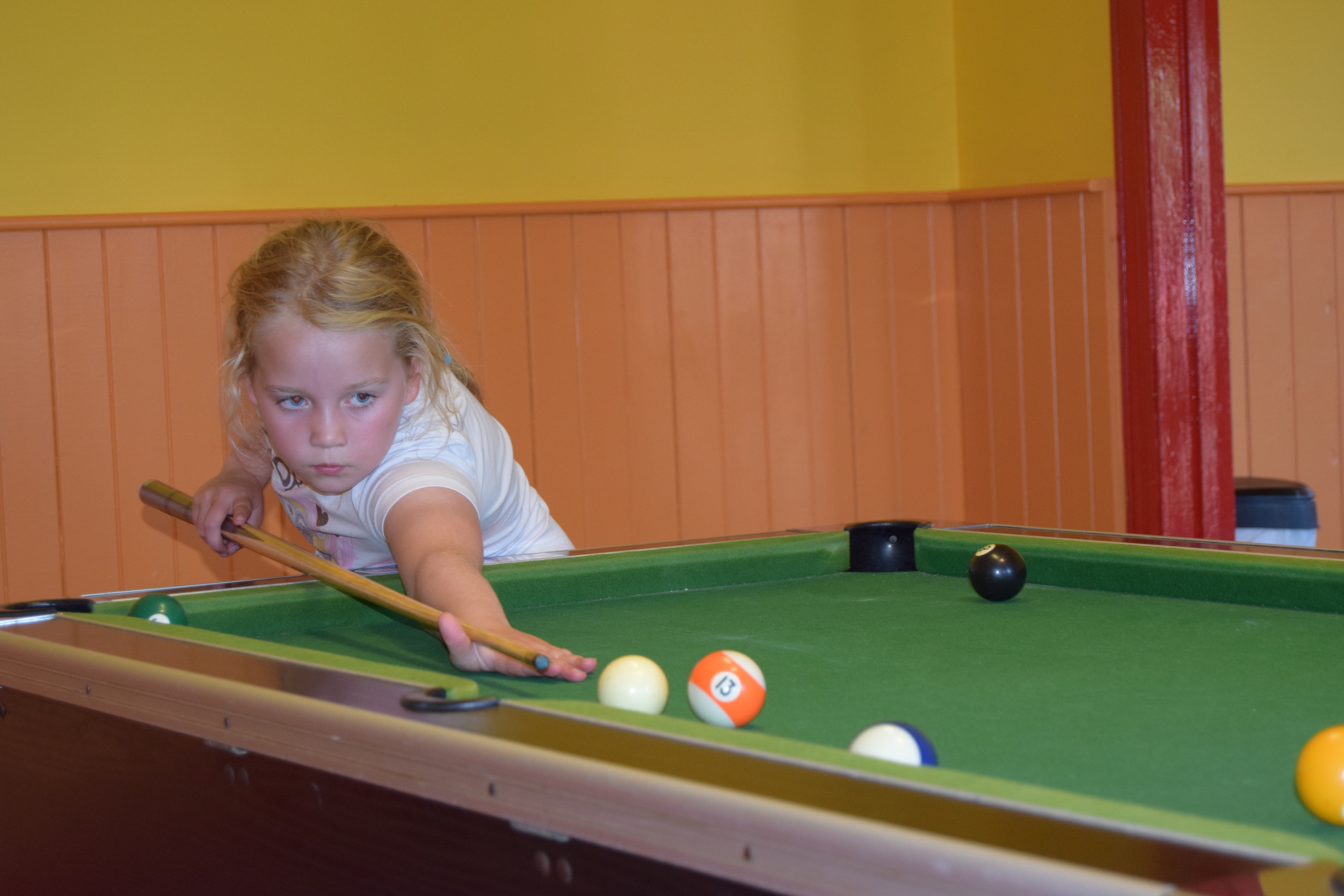 Broadhembury Game Room, Family-friendly Park